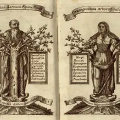 Drzewa genealogiczne z postaciami mężczyzny i kobiety, przedstawiające relacje rodzinne, w tym kuzynów.