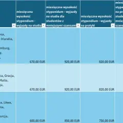 Erasmus praktyki po studiach: Jak zdobyć stypendium i doświadczenie?