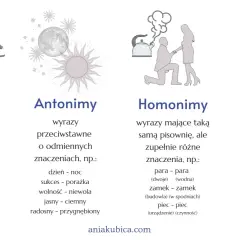 Ilustracje i przykłady synonimów, antonimów, homonimów i homofonów. Finesse po polsku w języku.