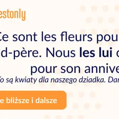 Dopełnienie bliższe i dalsze w języku francuskim – zrozum to łatwo