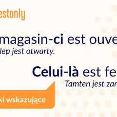 Zaimki przymiotne wskazujące francuski – klucz do skutecznej komunikacji