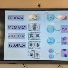 Zajęcia dodatkowe z biologii: jak rozwijać pasję i umiejętności uczniów