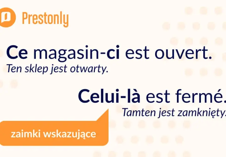Zaimki przymiotne wskazujące francuski – klucz do skutecznej komunikacji