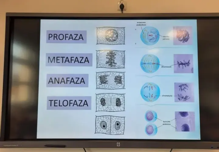 Zajęcia dodatkowe z biologii: jak rozwijać pasję i umiejętności uczniów