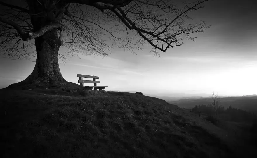 Solitude a samotność: Jak czerpać radość z bycia samemu?