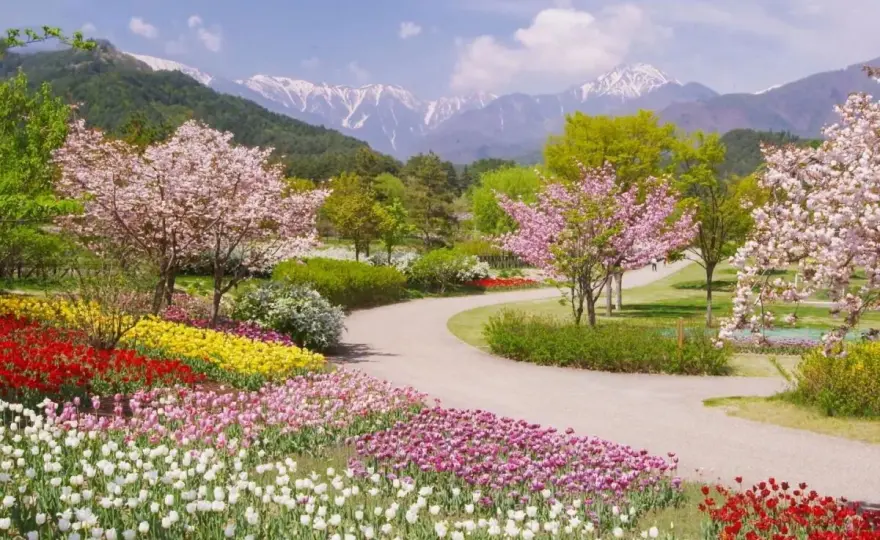 Jak powiedzieć "wiosna" po francusku? Le printemps i sekrety wymowy