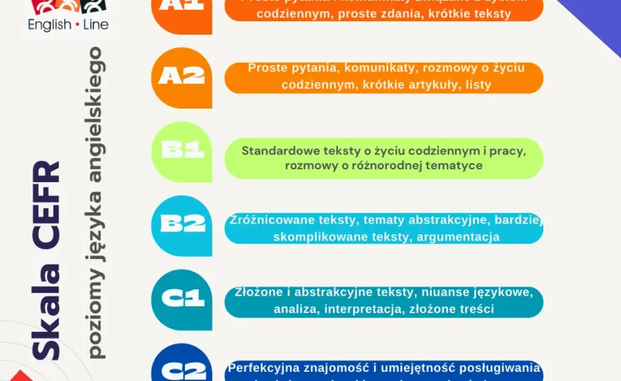 Starosta na studiach po angielsku: jakie są angielskie odpowiedniki?
