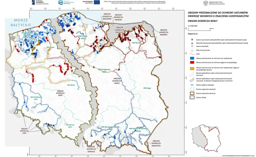 Reserve po polsku: Znaczenia, przykłady i pułapki tłumaczeniowe