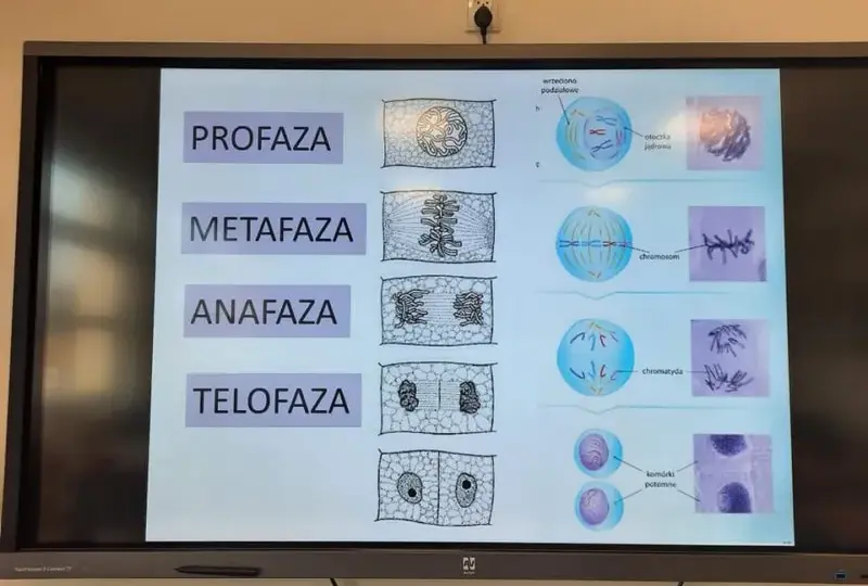 Zajęcia dodatkowe z biologii: jak rozwijać pasję i umiejętności uczniów