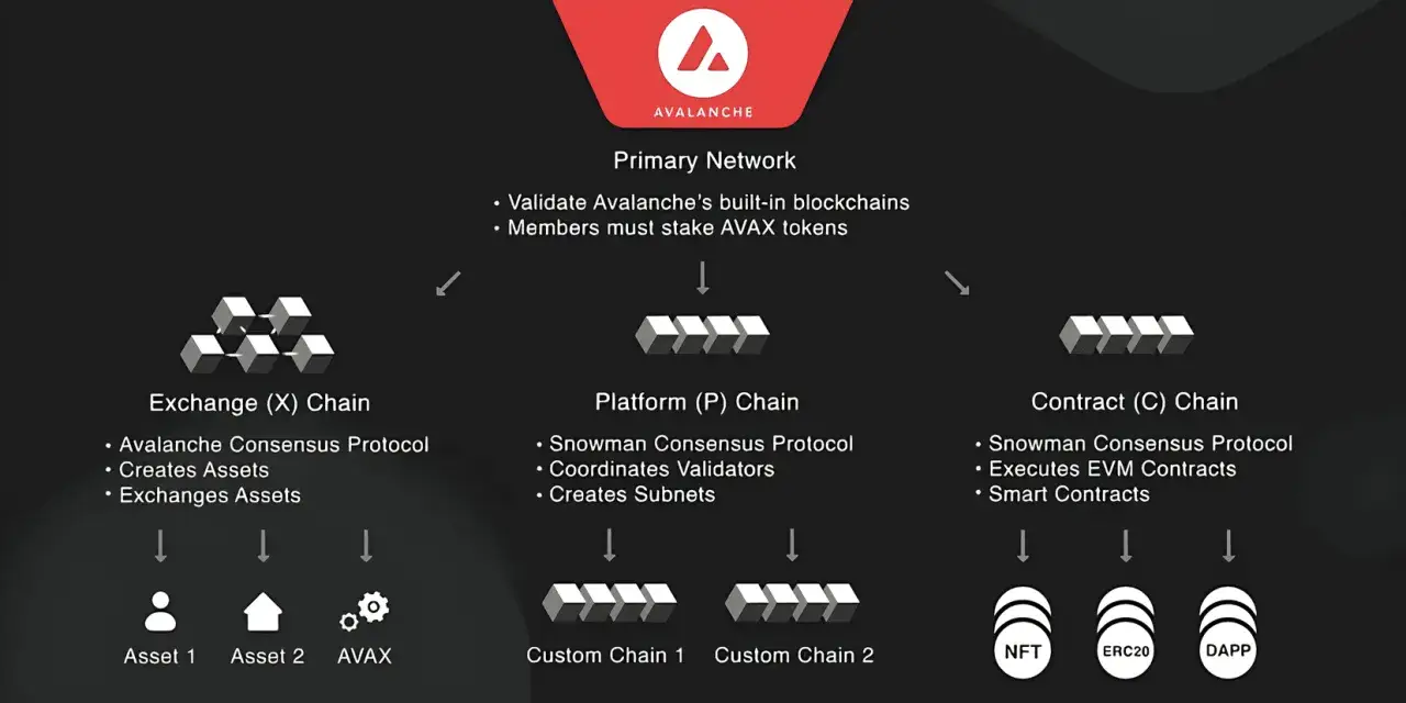 Schemat sieci Avalanche: Primary Network, Exchange (X) Chain, Platform (P) Chain i Contract (C) Chain.