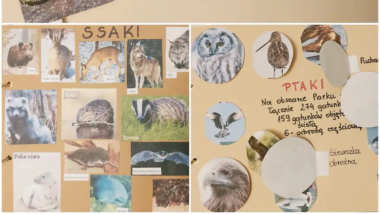 Zdjęcie Zajęcia kreatywne z biologii, które zmienią podejście do nauki