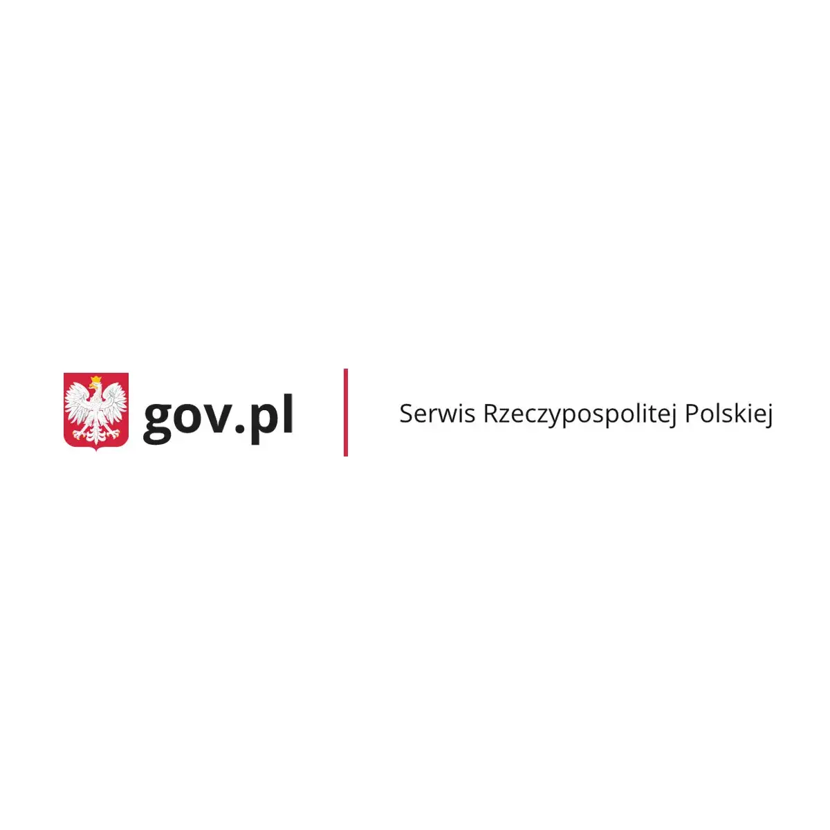 Zdjęcie Co po studiach podyplomowych? Jak wykorzystać nową wiedzę w karierze